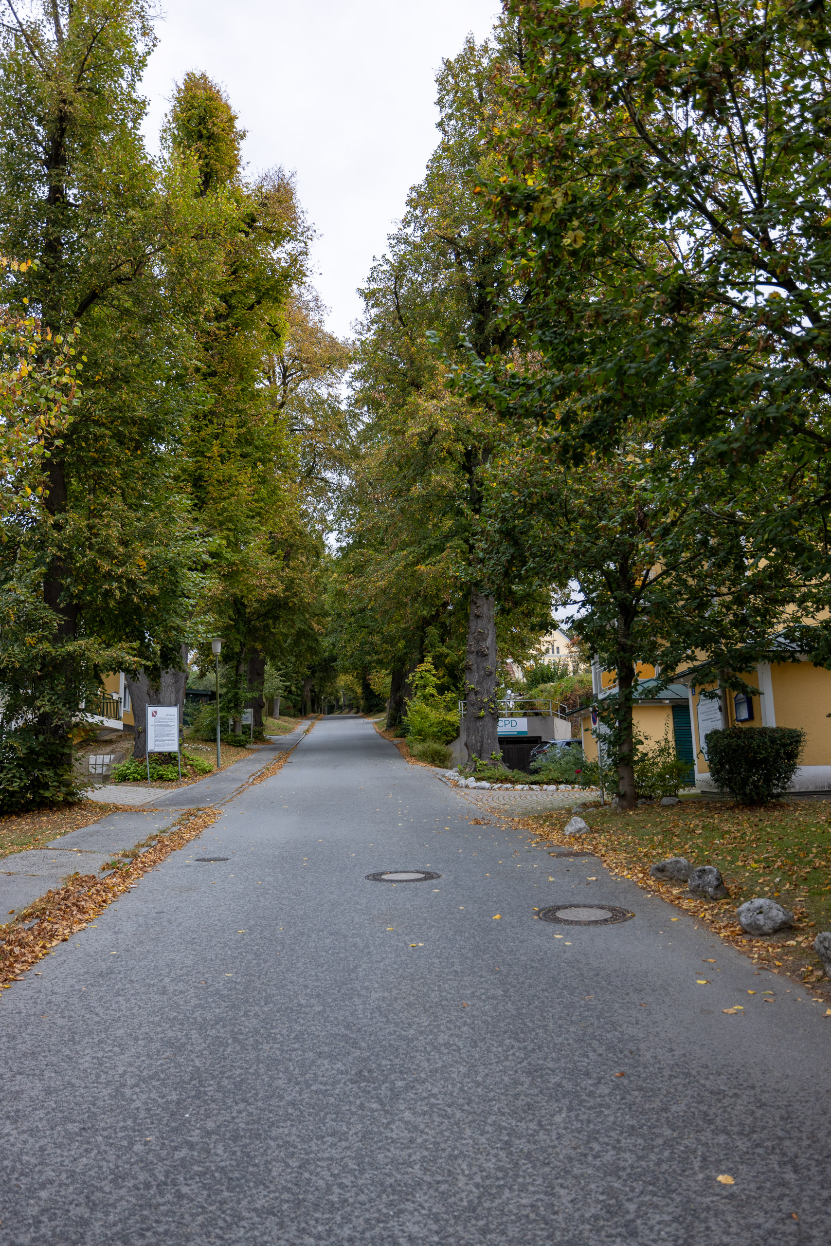 20231014172954 R5D 4161